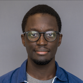 Profile picture of Cheikh Fall